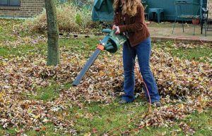 woman using Leaf Blower