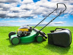Lawn Mowing