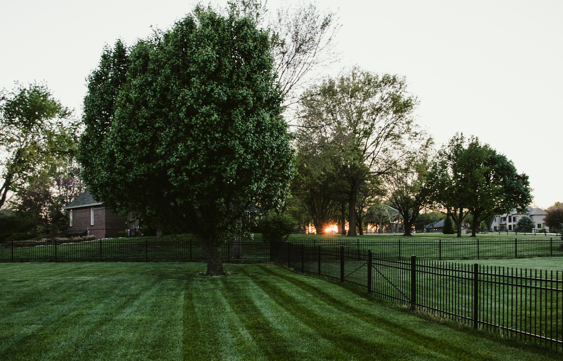 fence